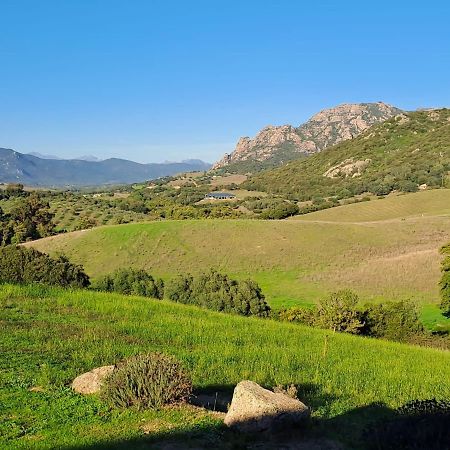 Ferme De Roccapina Bed & Breakfast Sarragia Exterior photo