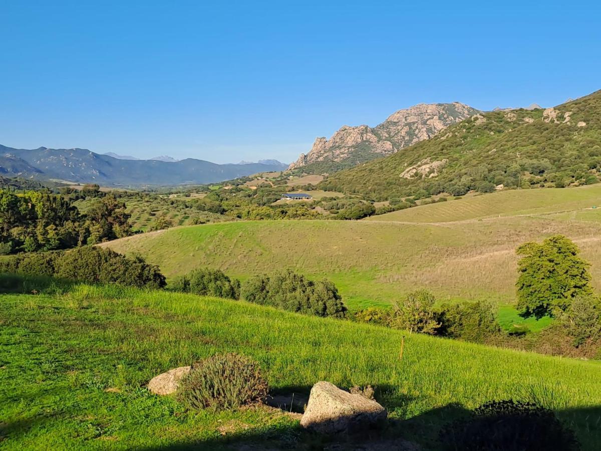 Ferme De Roccapina Bed & Breakfast Sarragia Exterior photo